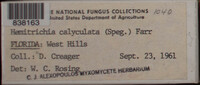 Image Associated With the Occurence